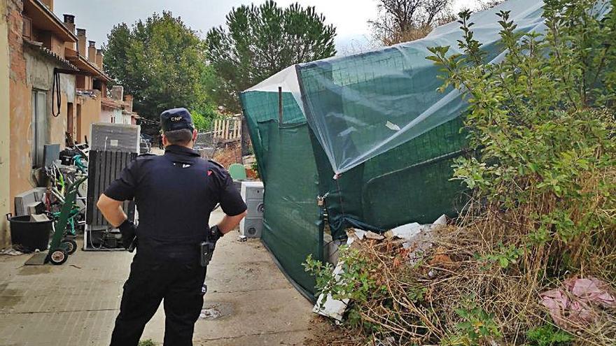 Dos detenidos con 12 kilos de marihuana en planta y 280 cogollos de cannabis