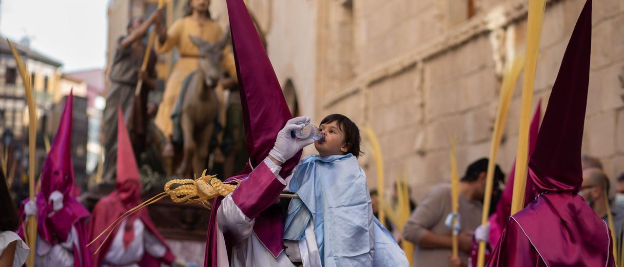 VÍDEO | Procesión de La Borriquita de la Semana Santa de Zamora