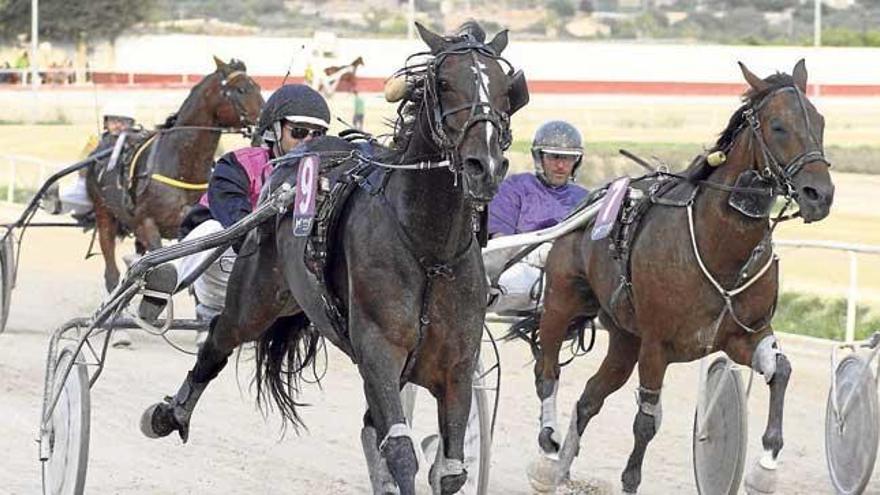 Nommel Crack (9) en su victoria de ayer con Jaume Fluxá.