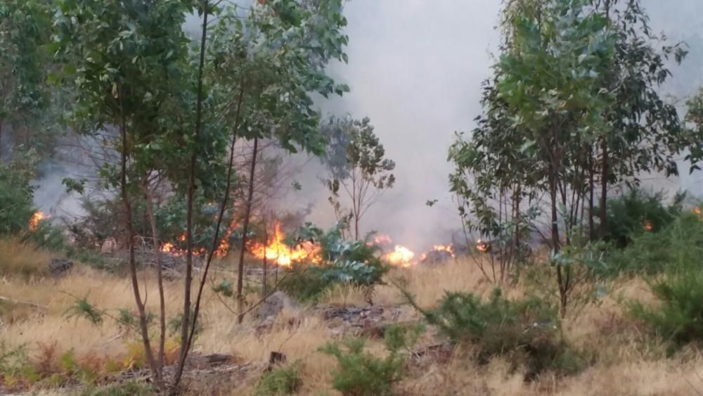 Incendios en Galicia | El fuego de Porto do Son arrasa el monte de A Curota