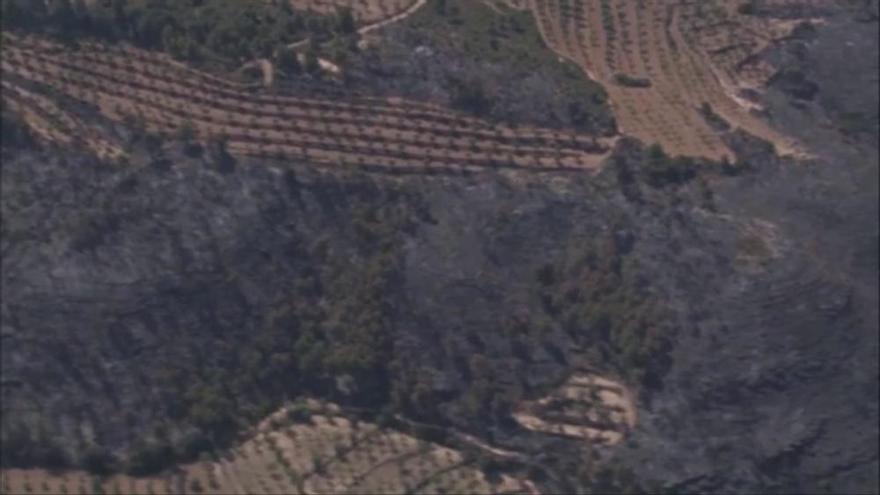 Imatges aèries de l'incendi forestal de la Ribera d'Ebre