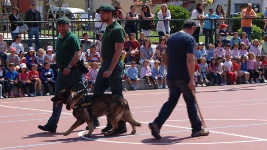 Agentes de la Guardia Civil, durante la demostración de la unidad canina en Soto. | reproducción de ignacio pulido