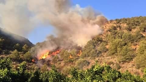 Incendio forestal en Benifairó de les Valls.