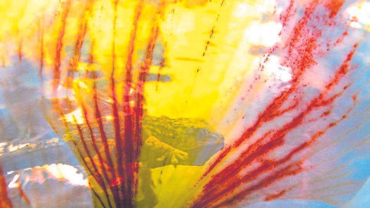 Imágenes de la serie ‘Mystic' de María Pisaca