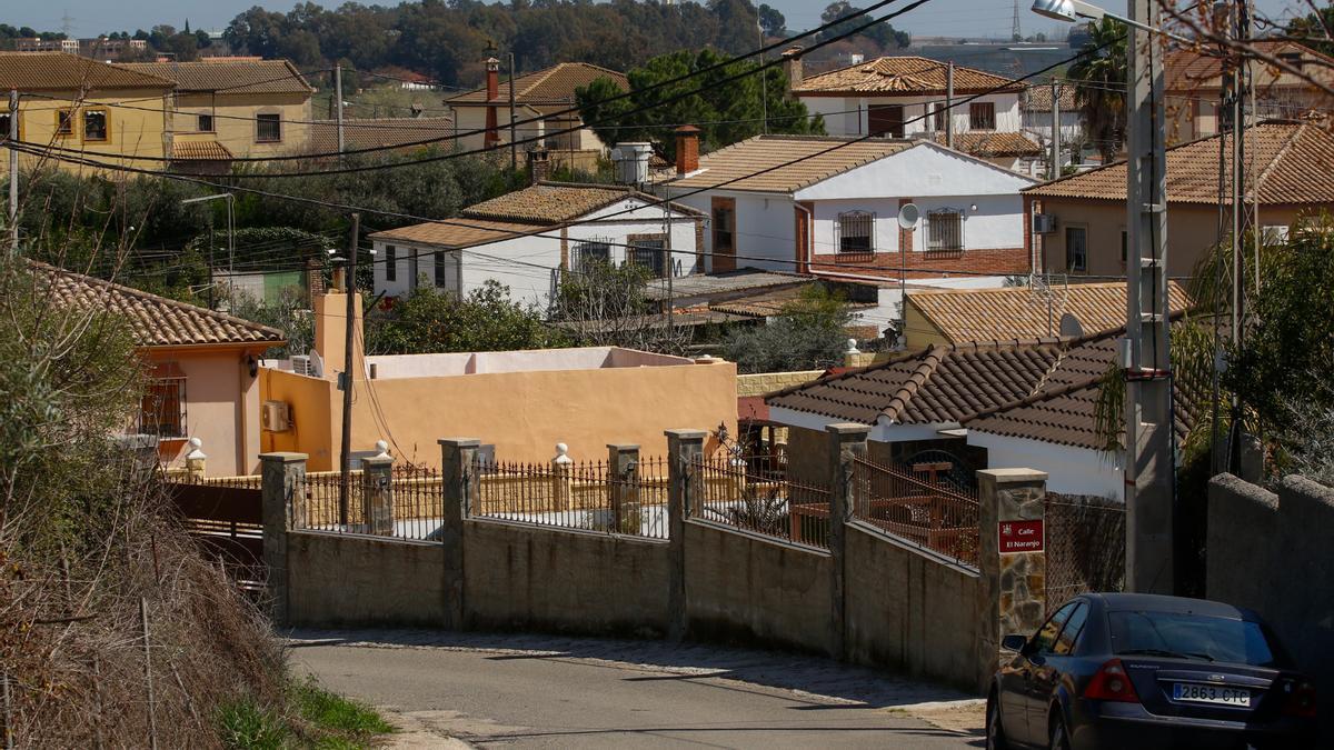 Parcelas en la zona de la Campiñuela Baja.