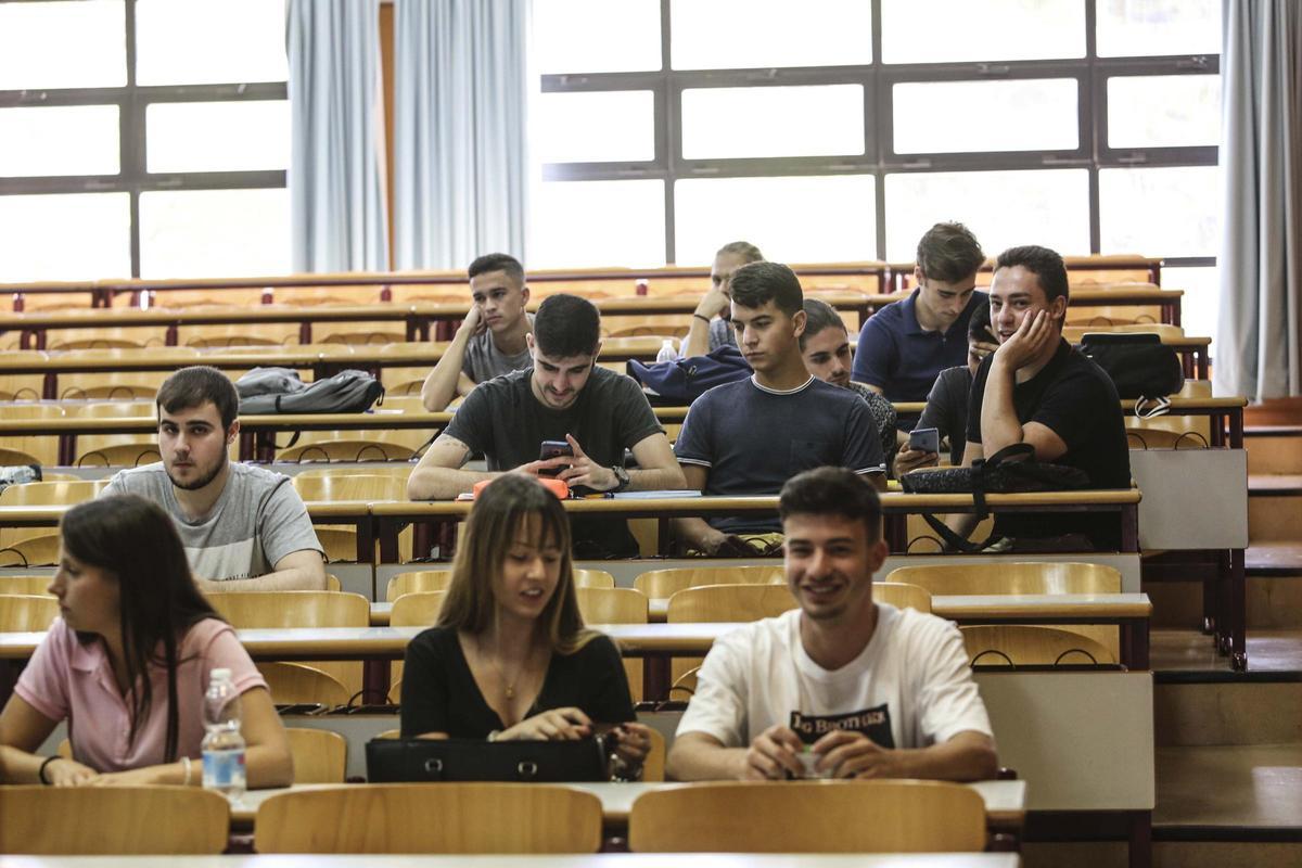 Estudiantes universitarios en la UA