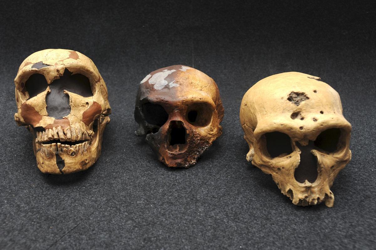 Arqueólogos encuentran en China los restos de una civilización avanzada de hace 45.000 años