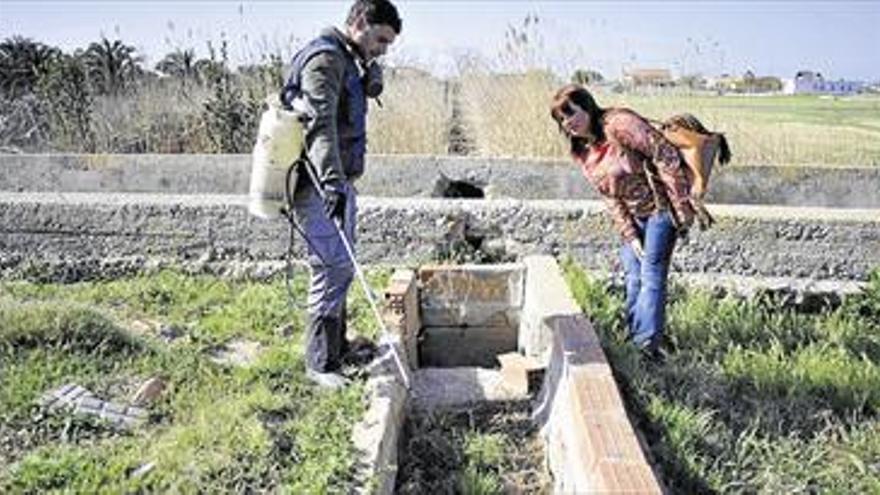 Castellón fumiga el río Seco para evitar mosquitos