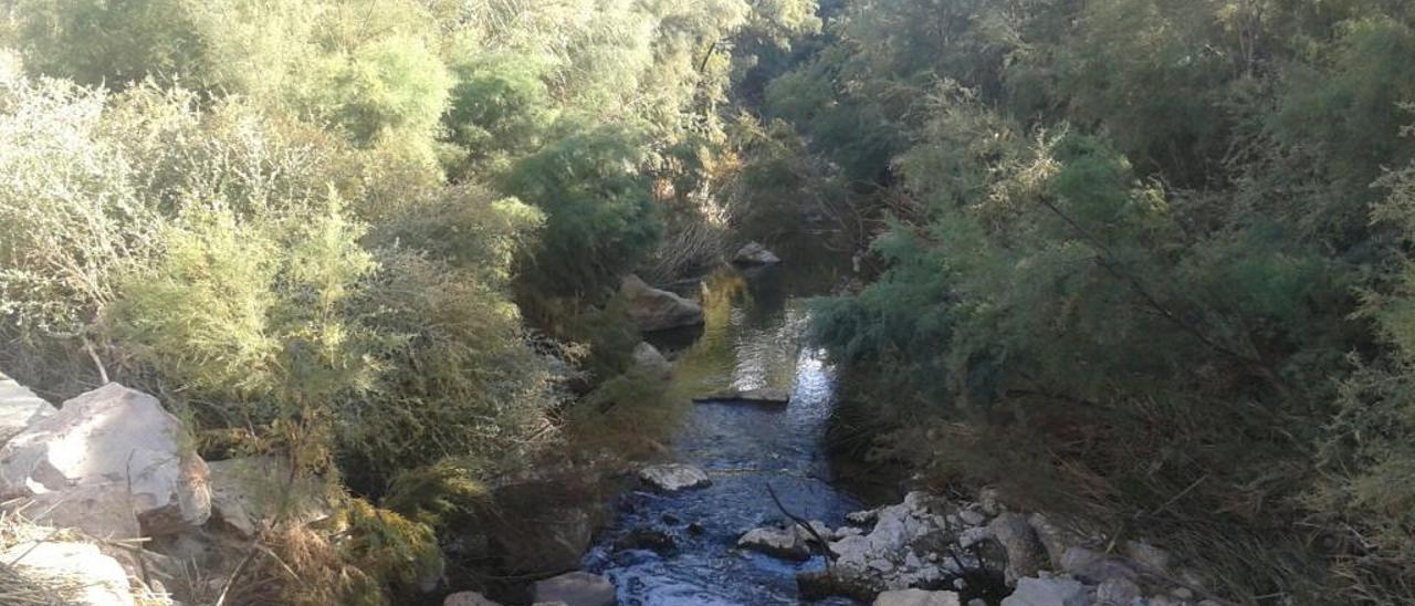El nuevo PGOU establece una protección específica para el río Vinalopó