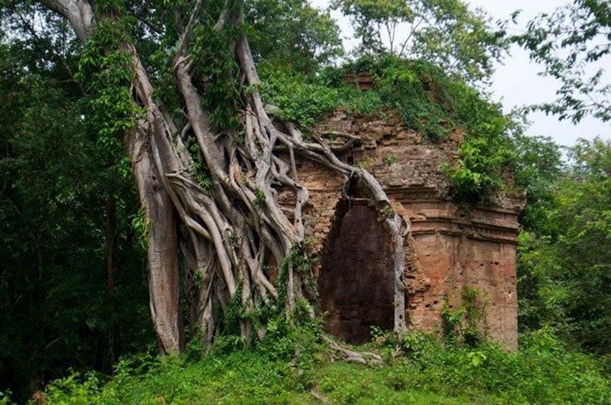 Uno de los templos invadidos por la selva en Sambor Prei Kuk