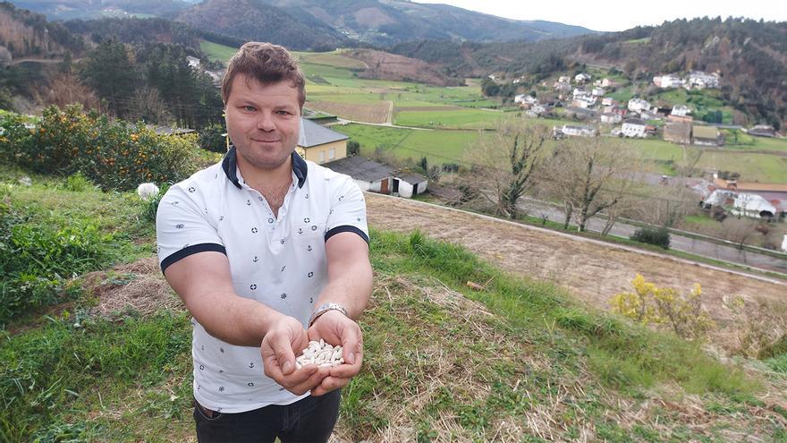 El mayor productor de faba de Asturias ve negro el futuro: &quot;Trabajar como un burro y encima perder dinero no tiene sentido&quot;