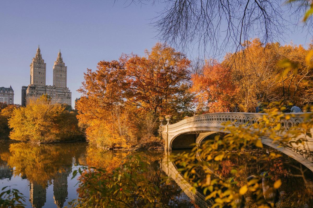 Disfrutar de Central Park en otoño es todo un espectáculo visual.