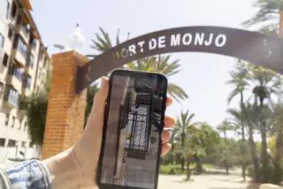 Lanzamiento de excrementos a balcones y vandalismo en el Hort del Monjo ponen en jaque a vecinos de Elche