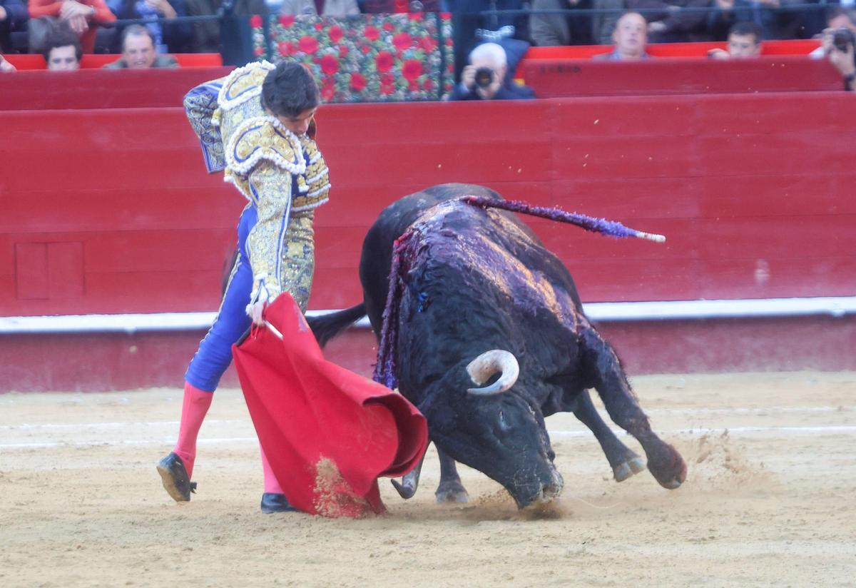 La embestida tremendamente codiciosa hasta el final del muletazo de 'Artista', toro de Jandilla