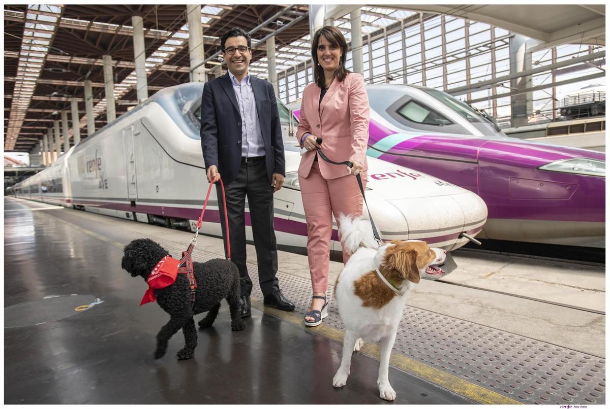 Renfe farà una prova pilot per permetre viatjar amb gossos grans de fins a 40 quilos als AVE Renfe farà una prova pilot per permetre viatjar amb gossos grans de fins a 40 quilos als AVE
