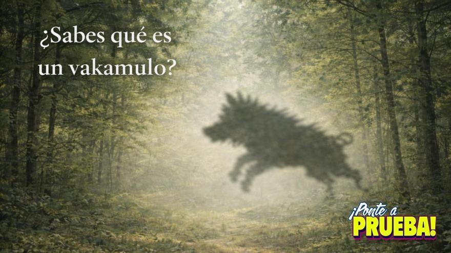 Un animal sorprendente en los montes de Galicia: ¿puedes adivinar su identidad?