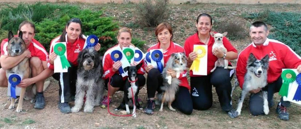 Lluvia de medallas del Agility Almussafes en el debut