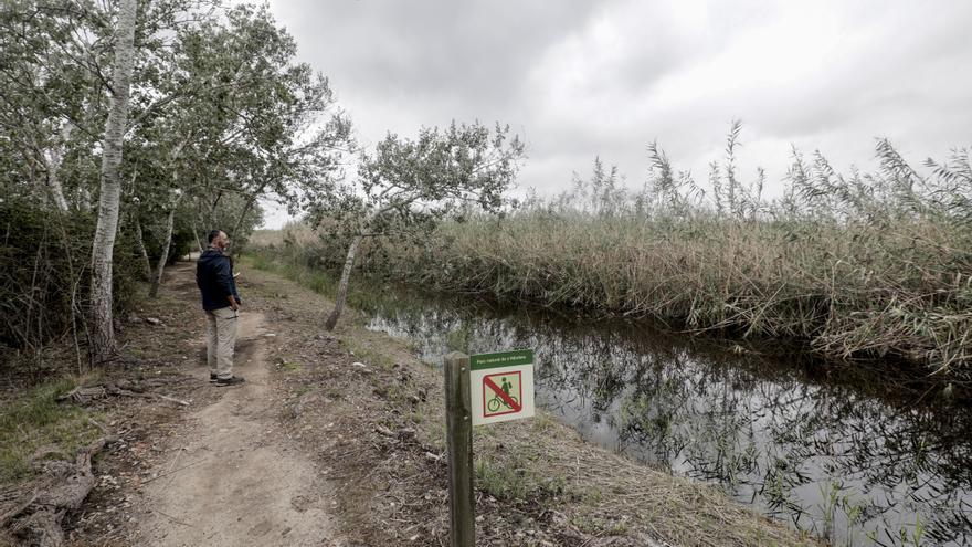 Un año después del incendio | S’Albufera recupera su ritmo vital