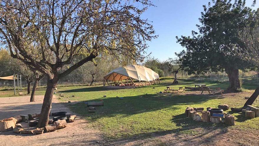 Escola Global está situada entre campos de cultivo y almendros.