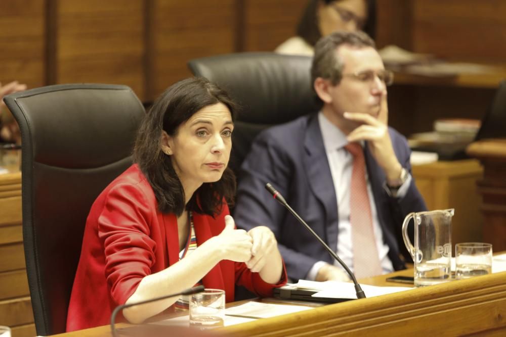 Pleno del Ayuntantamiento de Gijón