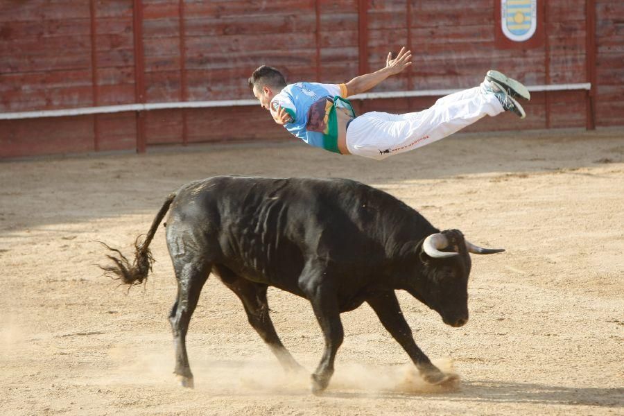 Fiestas en Zamora: Recortes en Villalpando