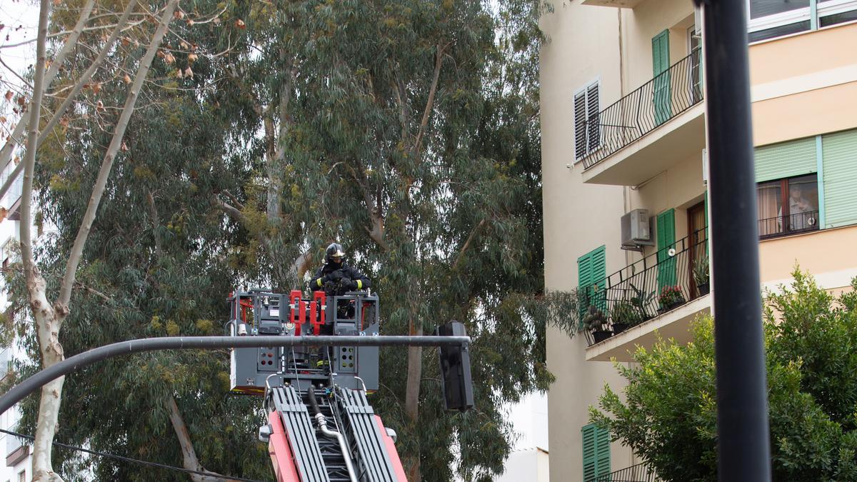 Alarma por un gran incendio en el centro de Ibiza