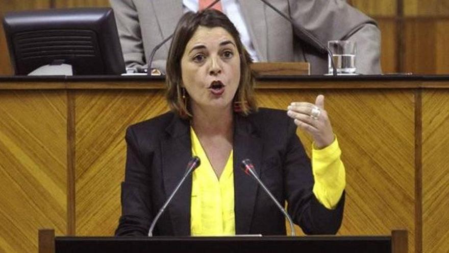 Elena Cortés renuncia a optar de nuevo al Parlamento andaluz