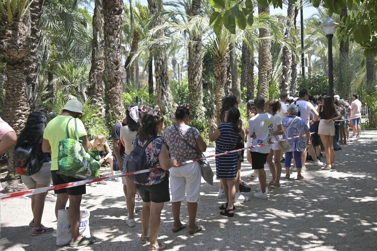 Fiesta del arroz con costra en Elche