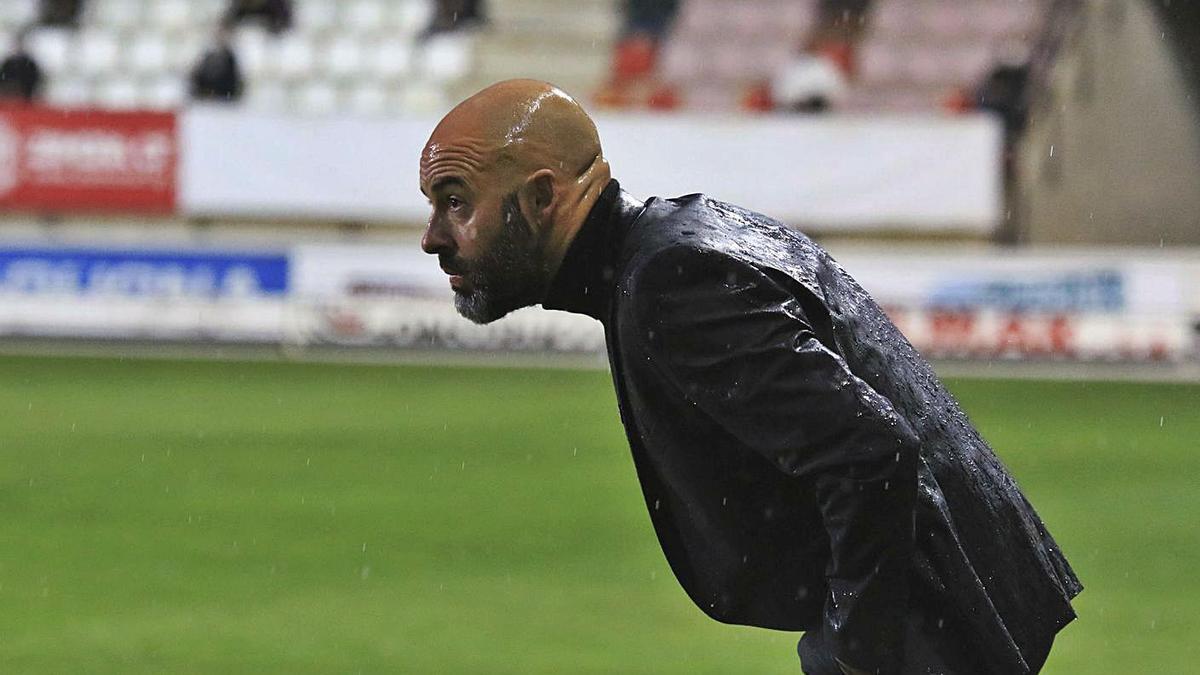 David Movilla, entrenador del Zamora CF. | J. L. F.