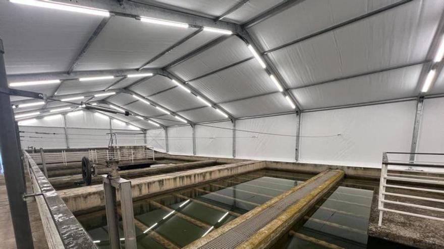 Manresa millora la qualitat de l’aigua de boca posant les algues a l’ombra