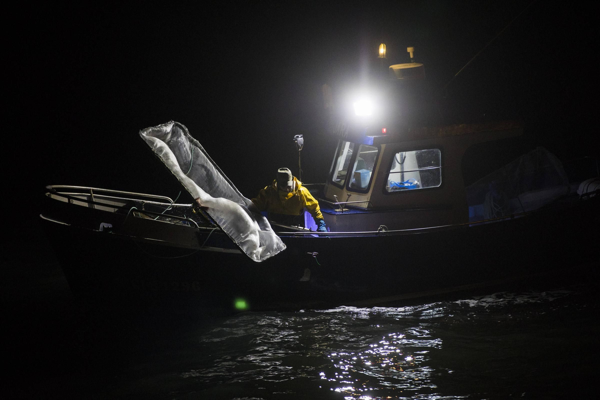 La pesca de la angula en el Nal�n (22).jpg