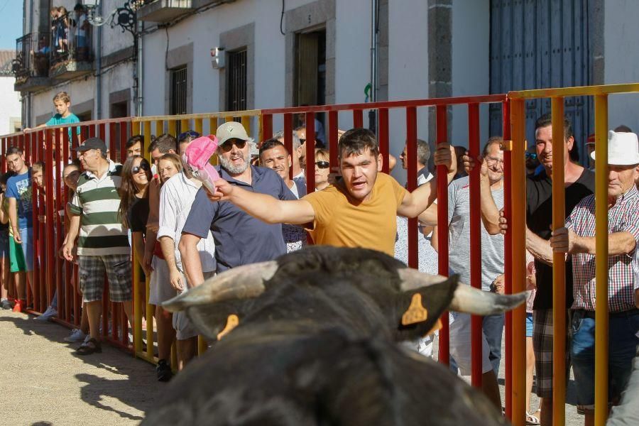 Encierro en Bermillo