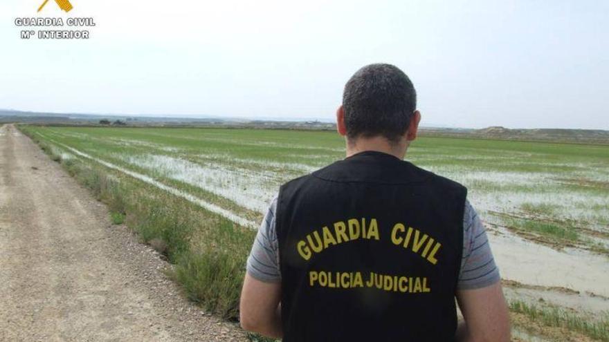 Detenido por cobrar 104.000 euros por 730 toneladas de arroz que no entregó