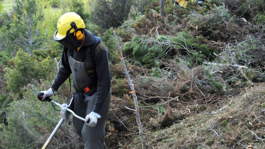 Un treballador, obrint una de les franges.  | CONSELL DE LA GARROTXA