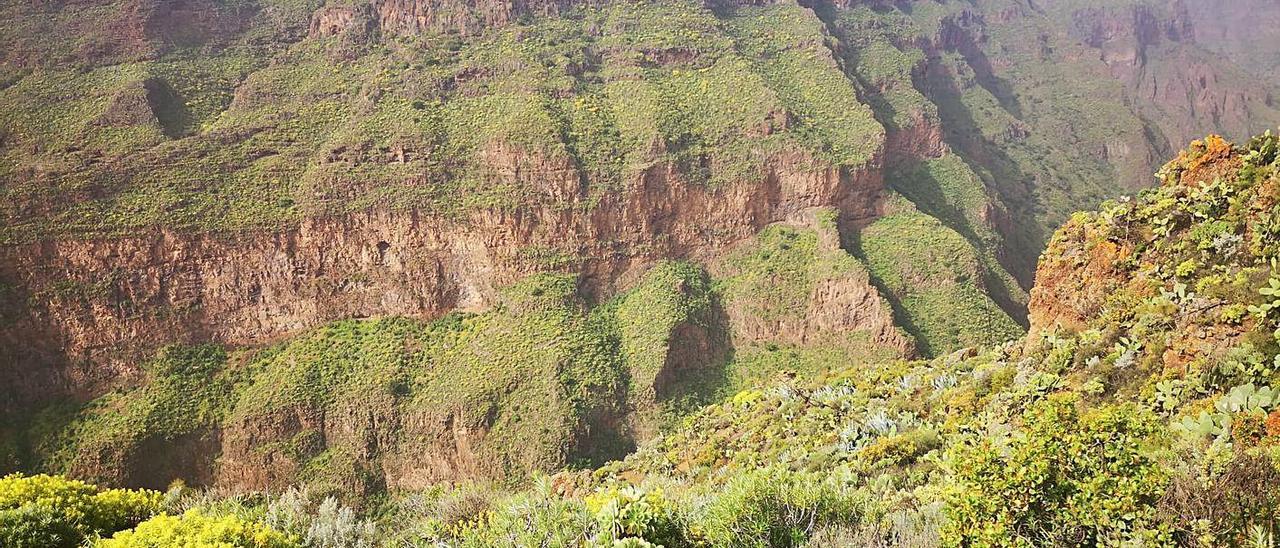 El barranco de Guayadeque en la linde de los municipios de Ingenio y Agüimes.