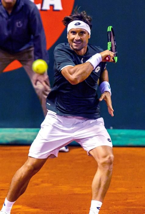 David Ferrer (ex tenista)