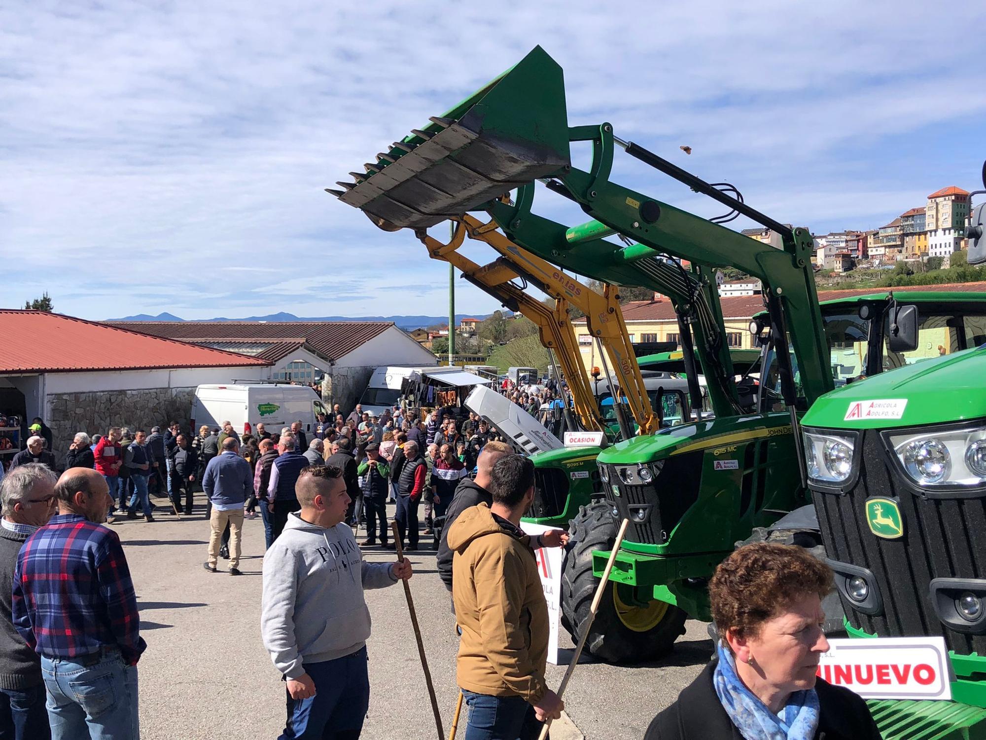 Tineo disfruta la feria ganadera de San José