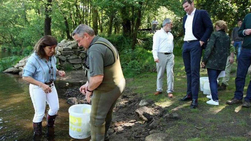 Mato, participando ayer en la suelta de esguines en O Areal de Berres, en presencia de Cores Tourís y López Campos. // Bernabé/Cris M.V.