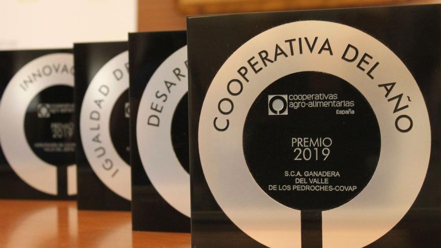 Galardones de la edición 2019 de los Premios Cooperativas Agroalimentarias de España. | CAAE