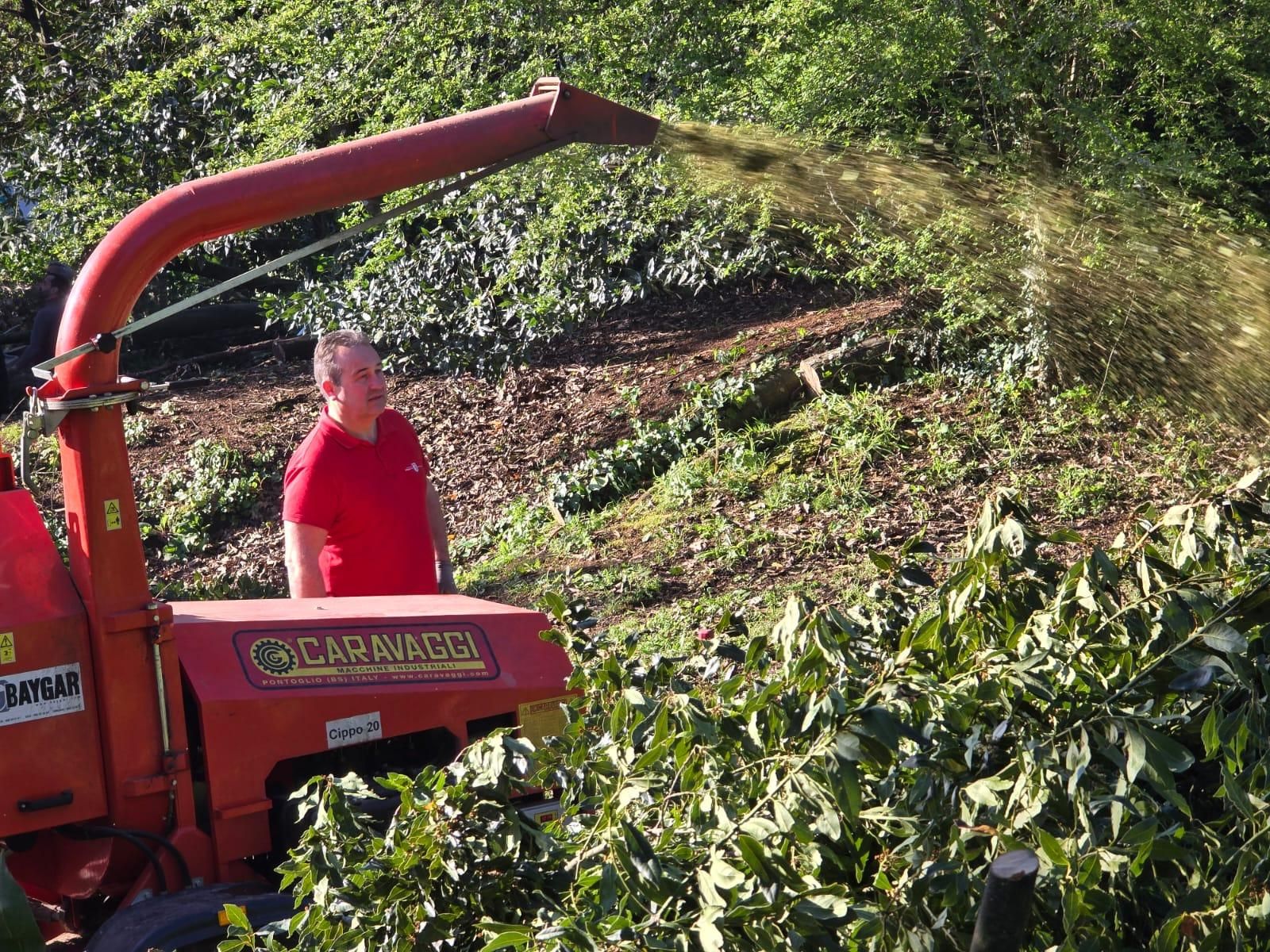 Los operarios municipales retomaron la tala de seguridad en el Parque Botánico Enrique Valdés Bermejo.