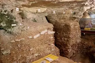 Descobreixen restes "insòlites" de rinoceronts, cavalls i ossos de les cavernes a la Cova de les Teixoneres de Moià