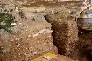 Descobreixen restes "insòlites" de rinoceronts, cavalls i ossos de les cavernes a la Cova de les Teixoneres de Moià