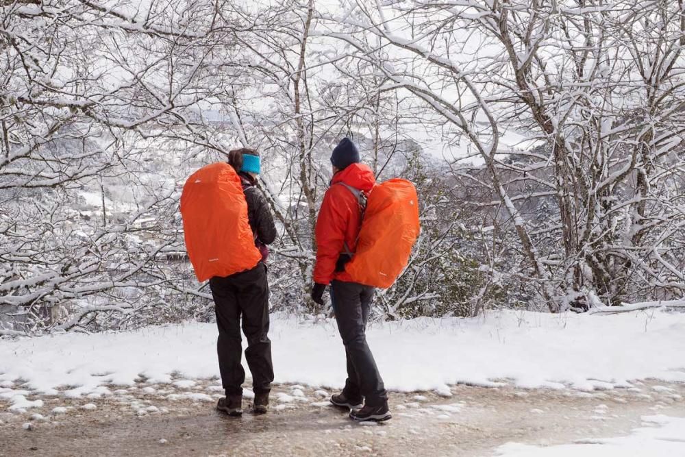 Un manto blanco de nieve cubre el interior de Lugo