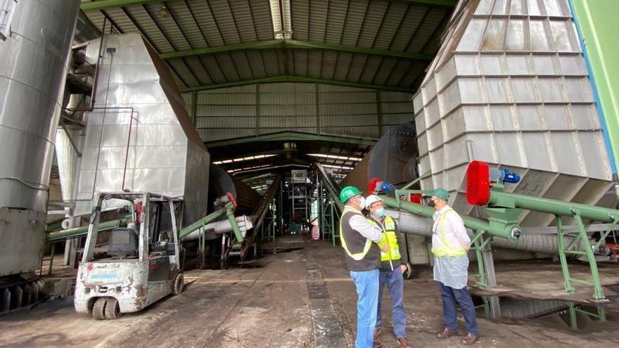 La almazara de Expacio Mérida instala un nuevo sistema para evitar los malos olores