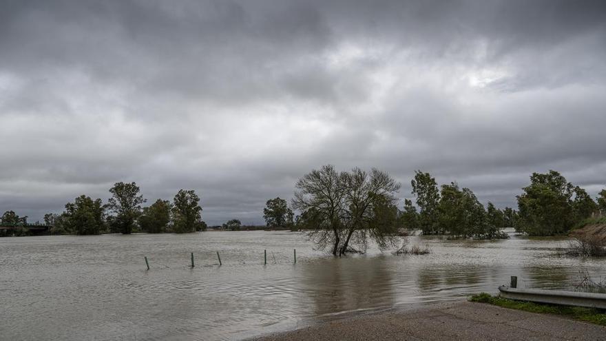 Avanzan las obras para reparar los daños causados por las borrascas en la cuenca del Guadiana