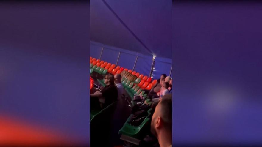 Un tigre salta de la arena al público durante un espectáculo circense en el sur de Rusia