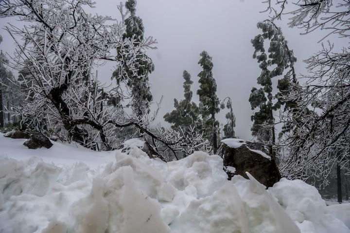 NIEVE EN LA CUMBRE