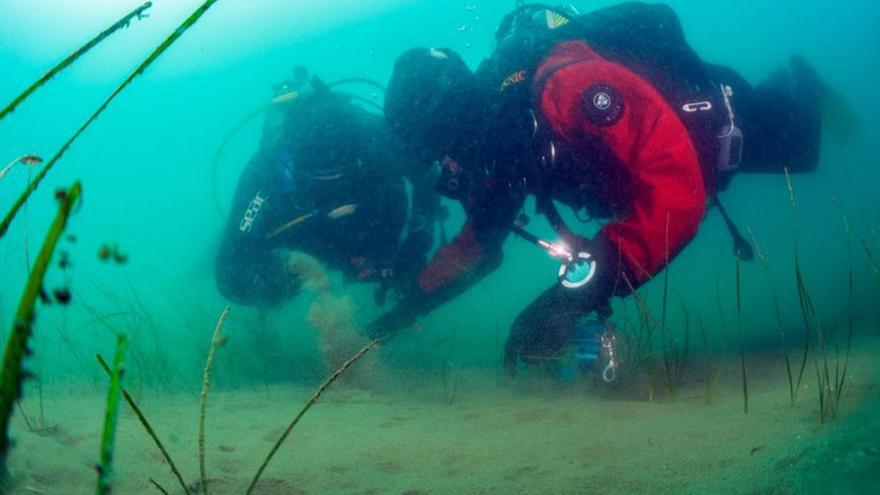 Uns submarinistes estudien unes plantes marines. | ACN