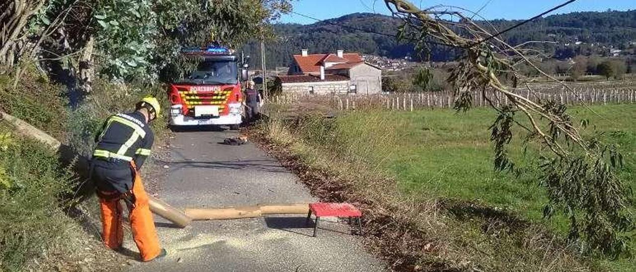 La intervención de los bomberos, ayer en el Camino Francés. // Cedida