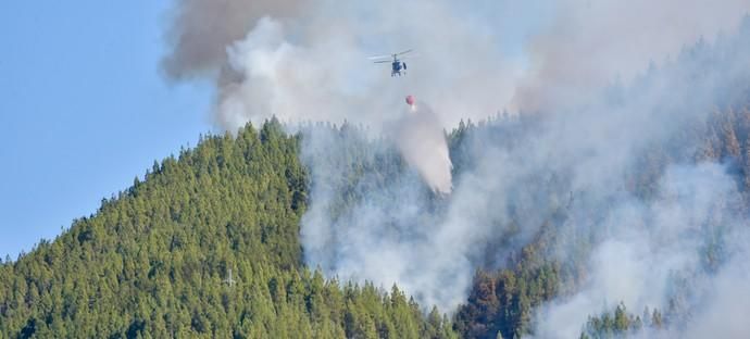 10-08-2019 ARTENARA. Incendio en la cumbre de Gran Canaria  | 10/08/2019 | Fotógrafo: Andrés Cruz